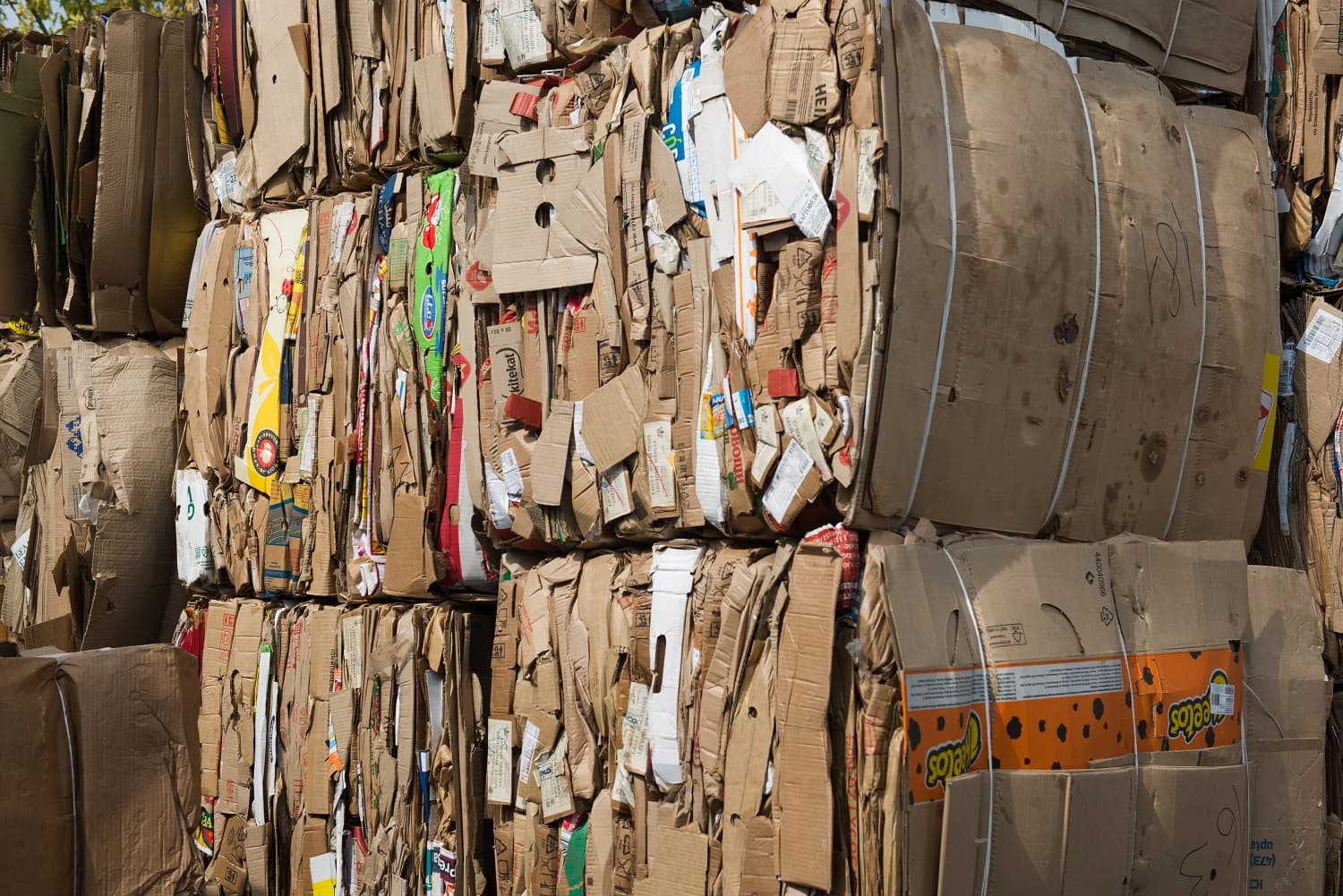 Paper Processing