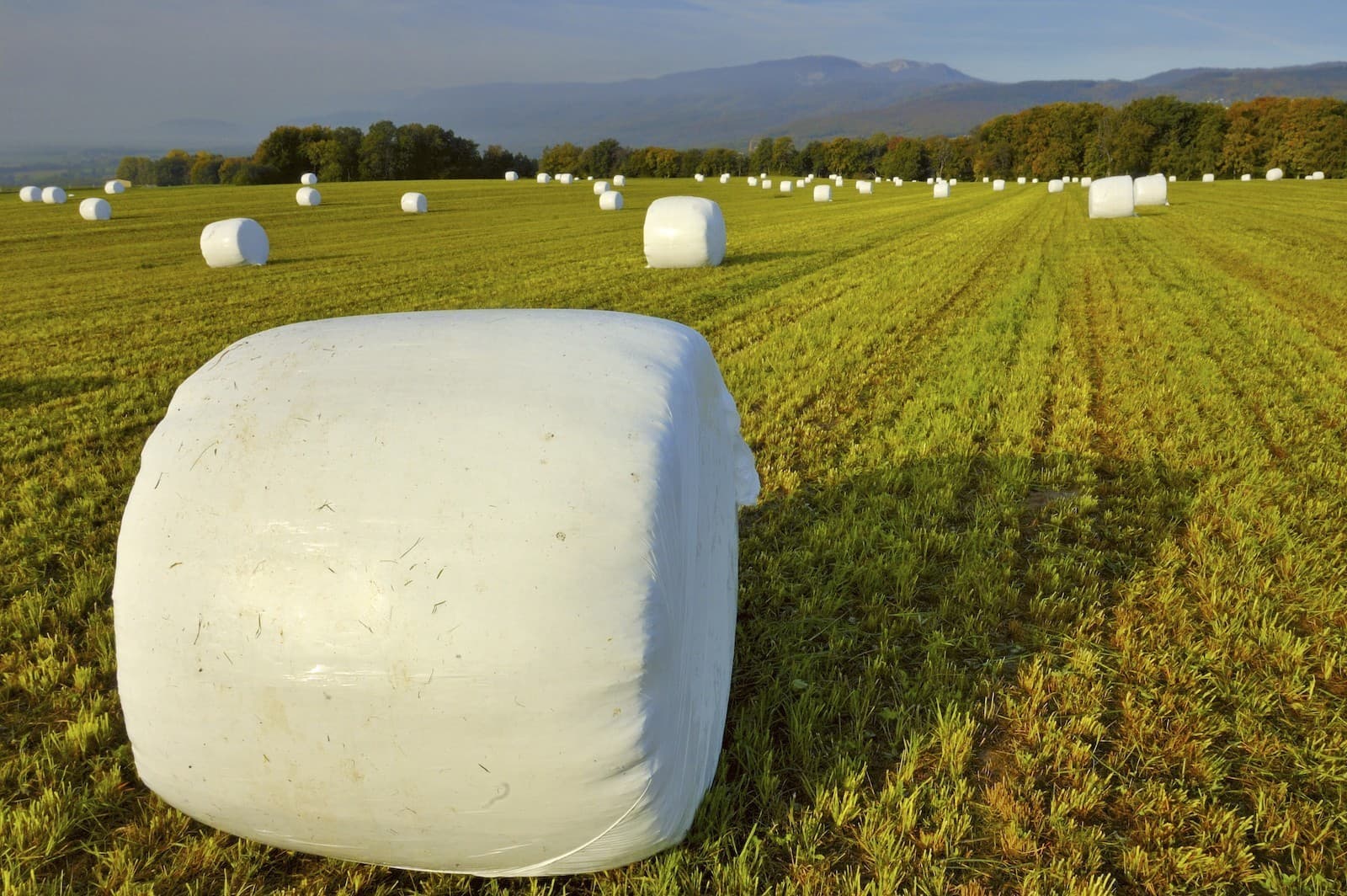 Agricultural Film