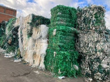 PET green tint strapping bales